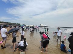 -碧海金沙