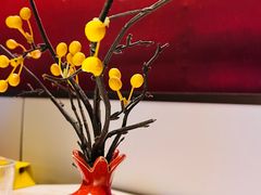 -京华烟云·北京烤鸭(领展购物广场·中关村店)