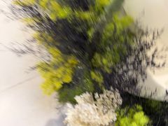 -Xcape异时刻密室逃脱魔法互动(瑞虹天地太阳宫店)