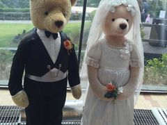 -济州岛泰迪熊博物馆