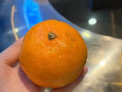 -品北铁锅炖  东北特色菜(北极大街店)