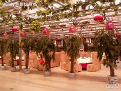 内部环境-龙凤山庄(永定镇店)