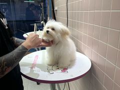 -FAELING PETS美天灵宠物(富力广场店)