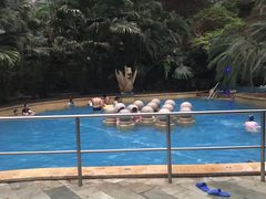 -龙达温泉生态城