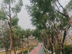 -大渡口区义渡公园