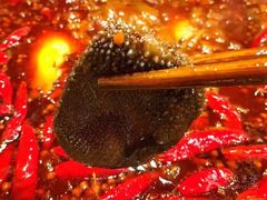 疯狂鲜毛肚-黄潇洒老火锅(九眼桥宏济巷店)