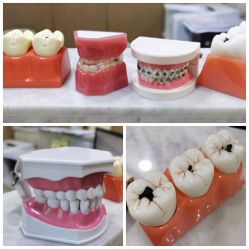 -睿宝儿科·眼科·口腔(杨浦新江湾城店)