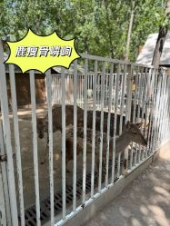 -蓝可可亲子乐园(北苑店)