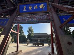 -张掖大佛寺景区