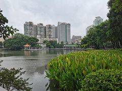 -荔湾湖公园