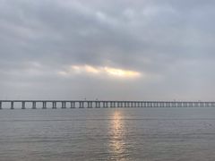 -宝安西湾红树林湿地公园