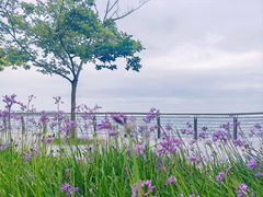 -Manner Coffee(滴水湖店)