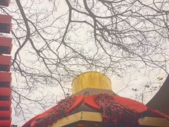 -哥老官重庆美蛙鱼头(宝山龙湖店)
