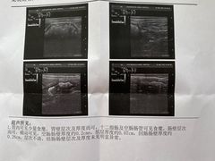 -北京赛佳动物医院