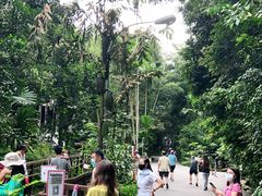 -武吉知马自然保护区