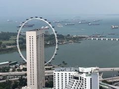 -新加坡瑞士史丹福酒店