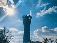 -上海滨江森林公园