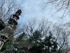 -灵隐飞来峰景区