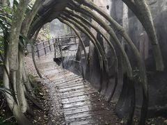 -青青世界
