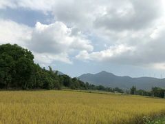 -盐洲岛