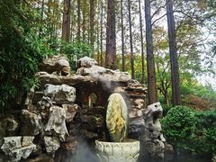 -上海醉白池公园