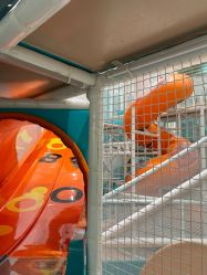 -奈尔宝家庭中心·亲子餐厅(鄞州万达店)