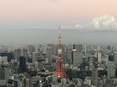 -六本木新城展望台(东京城市景观)
