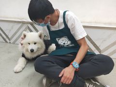 -星多哈·狗咖·拼豆·咖啡