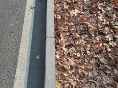 -河南省黄河迎宾馆