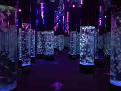 -成都浩海立方海洋公园