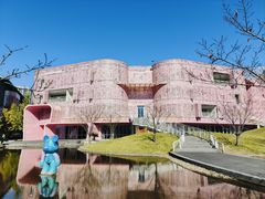 -杭州观成实验学校