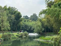 -杭州植物园