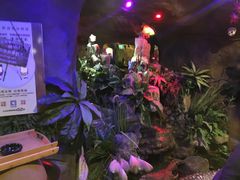 -醉小酒馆·川菜·江湖菜·重庆菜(观音桥旗舰店)