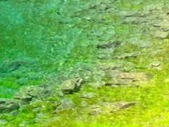 -叠溪松坪沟景区