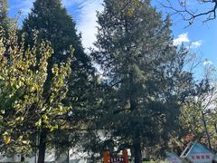 -长辛店二七公园