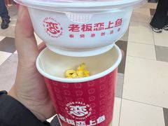-老板恋上鱼(印象城店)