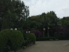-南诏风情岛