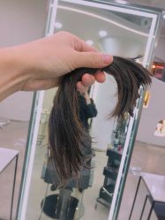-蚂蚁造型沙龙