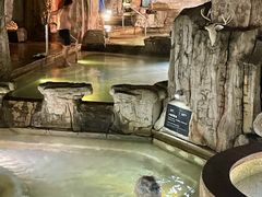 -海口观澜湖火山温泉谷