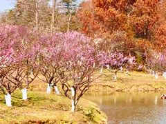 -上海海湾国家森林公园