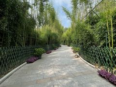 -红螺寺