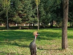 -哈尔滨北方森林动物园