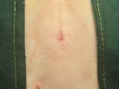 -美美宠物诊疗中心·异宠·骨科(滨江东信分院)