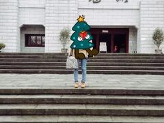 -丰都鬼城名山景区