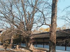 -苏州文庙(姑苏区)