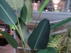 -湊湊火锅·茶憩(皇姑万象汇店)