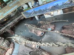 -安徽省地质博物馆