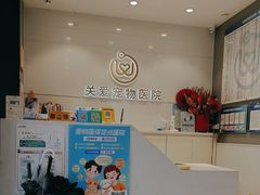 -关爱宠物医院·猫科中心·消化科(滨湖万达分院)