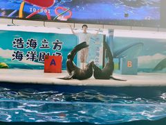 -成都浩海立方海洋公园