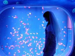 -芜湖新华联大白鲸海洋公园